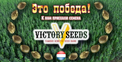 Новий сідбанк: Victory Seeds