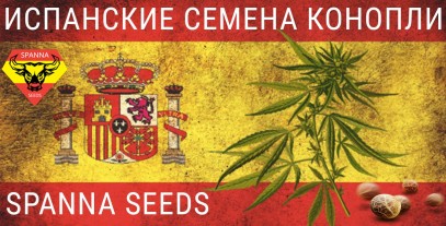 Новый сидбанк: Spanna Seeds