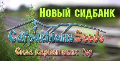 Новий банк: Carpathians Seeds
