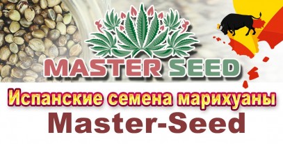 Новый сидбанк: Master-Seed