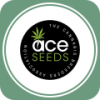 Семена конопли ACE Seeds