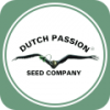 Семена конопли Dutch Passion
