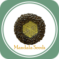 Mandala Seeds