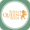 Семена конопли Royal Queen Seeds