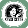 Насіння коноплі Sensi Seeds