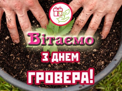 Знижки на насіння коноплі до Дня Гровера