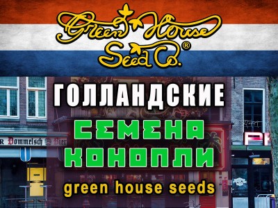 У нас можно купить семена конопли от Green House Seeds