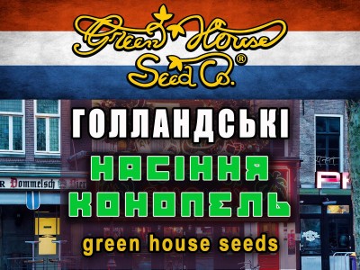 У нас можна купити насіння коноплі від Green House Seeds