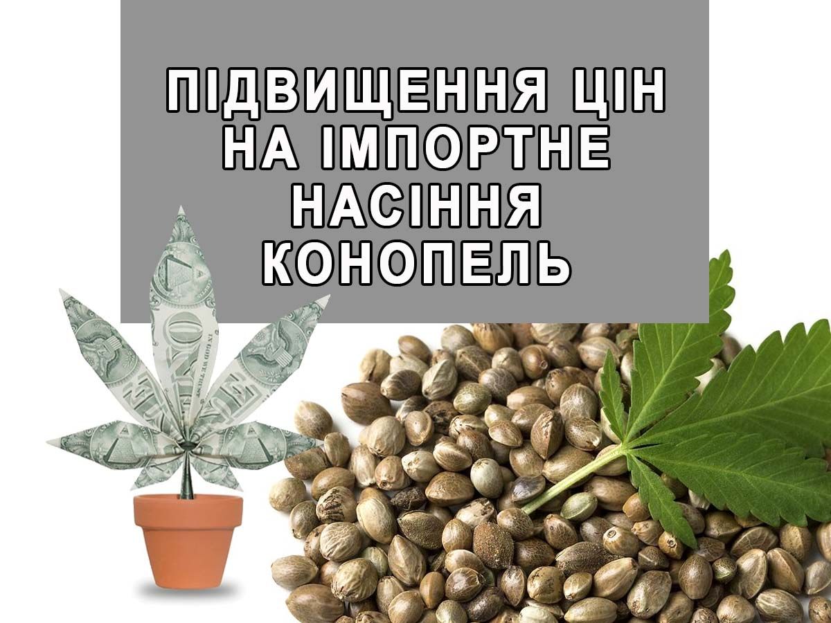 Зміна цін на іспанські насіння марихуани в Україні