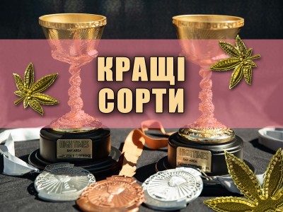 Популярні сорти від MASTER SEED насіння коноплі