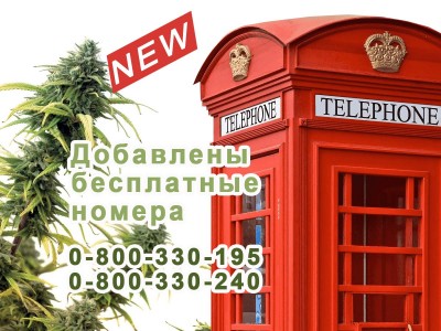 Добавление бесплатных номеров 0800