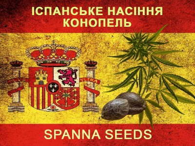 У нас можна купити насіння коноплі від Spanna Seeds