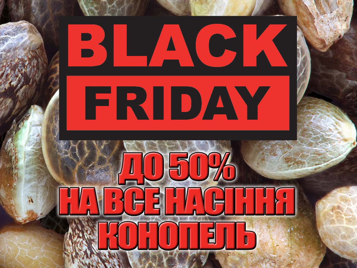 Black Friday: знижки до 50% на насіння коноплі