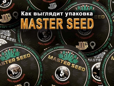 Оригинальная упаковка сортовых семян MASTER SEED