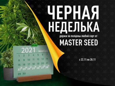 Черная неделька: скидка 50% на семена конопли от MASTER SEED