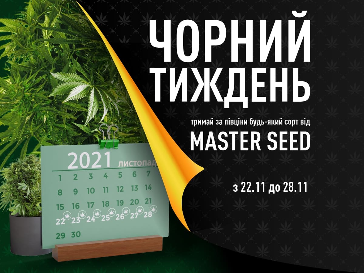 Чорний тиждень: знижка 50% на насіння коноплі від MASTER SEED