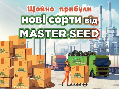 Нові сорти від MASTER SEED