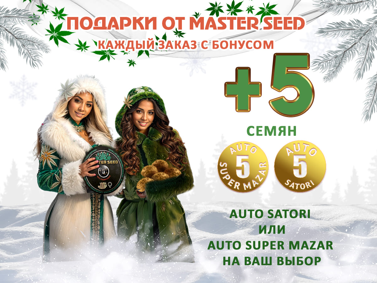 Новогодняя акция от сидбанка MASTER SEED