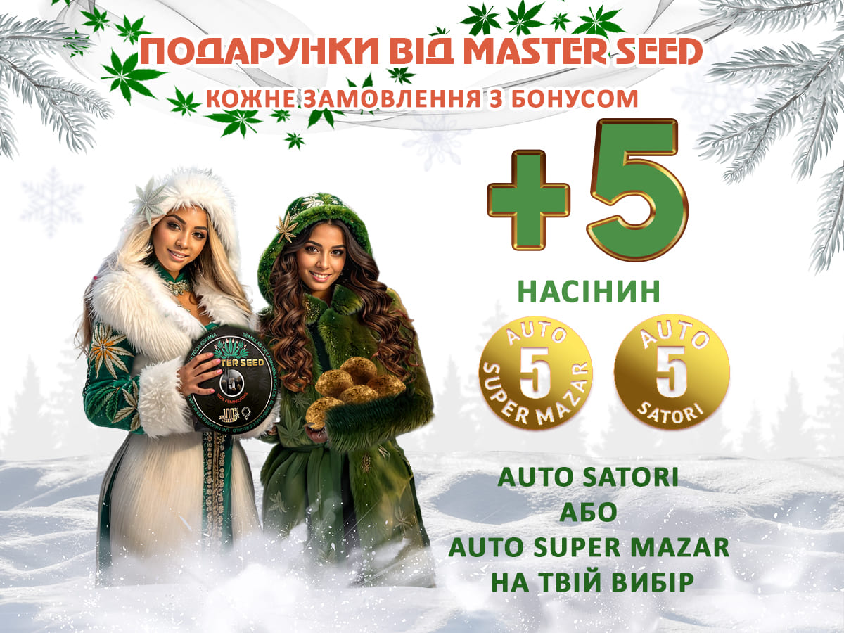 Новорічна акція від сідбанку MASTER SEED
