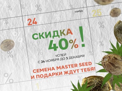 Black Friday 2025 — лучшее время для покупок!