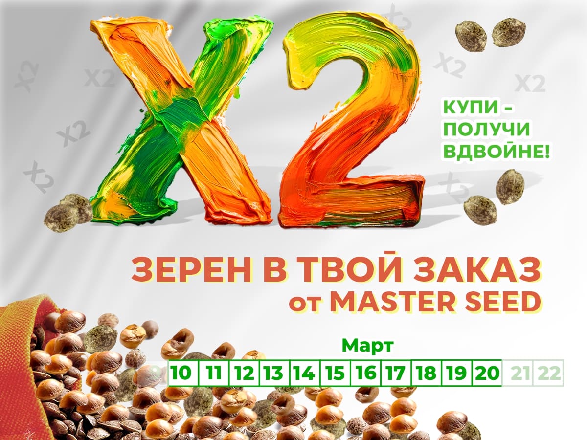 Подарок от MASTER SEED - в 2 раза больше семян к покупке!
