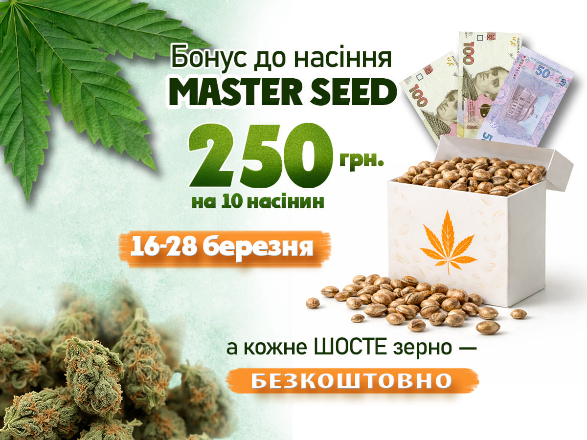 Бонус до насіння MASTER SEED — 250 грн та додаткове зерно