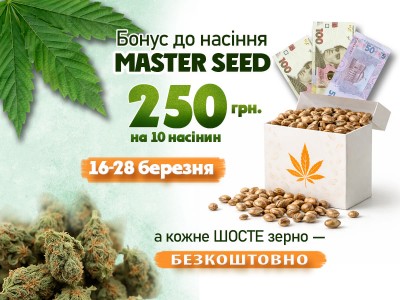 Бонус до насіння MASTER SEED — 250 грн та додаткове зерно
