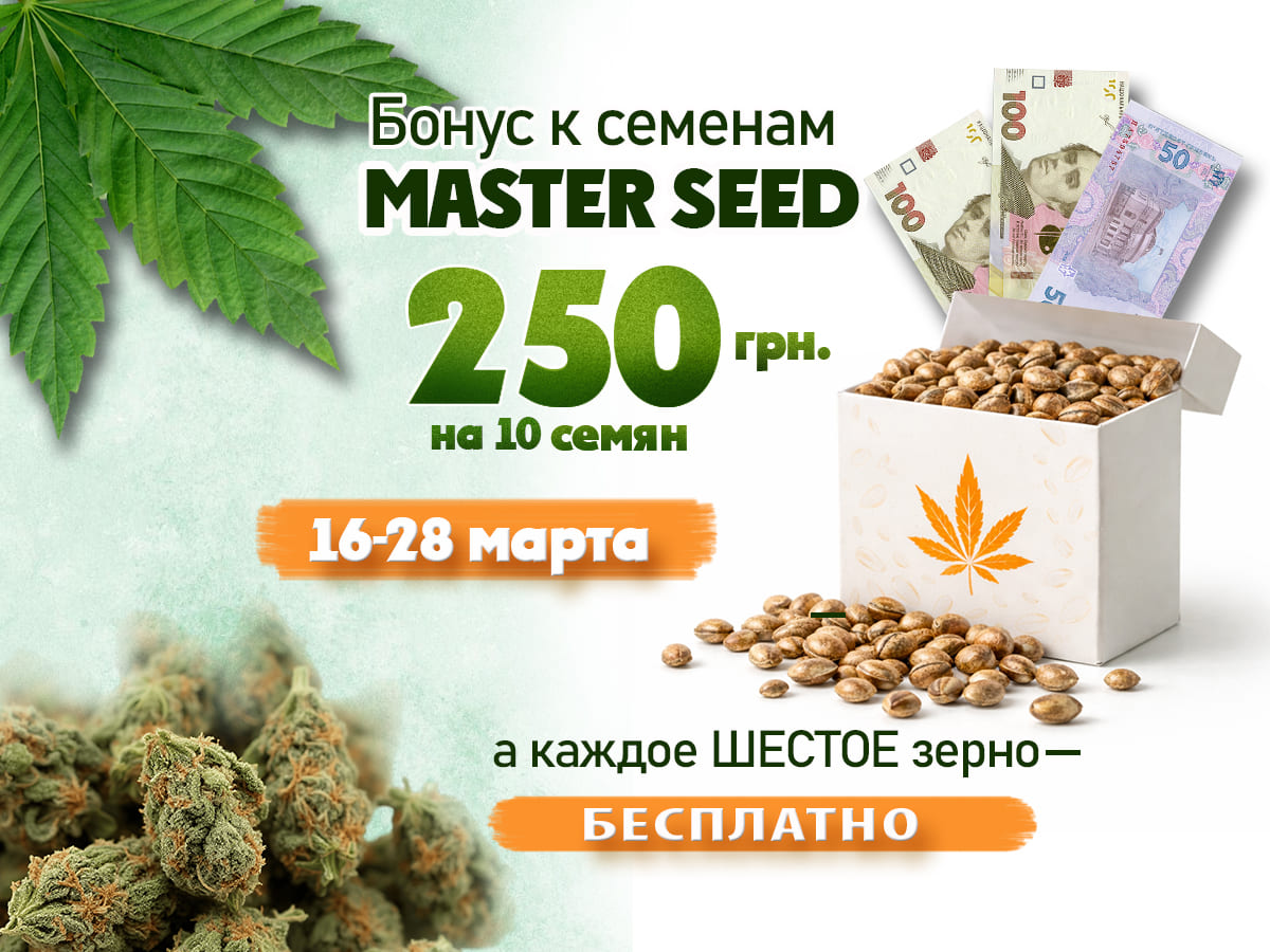 Бонус к семенам MASTER SEED — 250 грн и дополнительное зерно