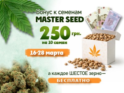 Бонус к семенам MASTER SEED — 250 грн и дополнительное зерно