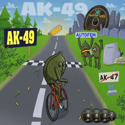 Семена конопли Master-Seed Auto AK-49 Feminised