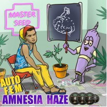 Master-Seed Auto Amnesia Haze Feminised