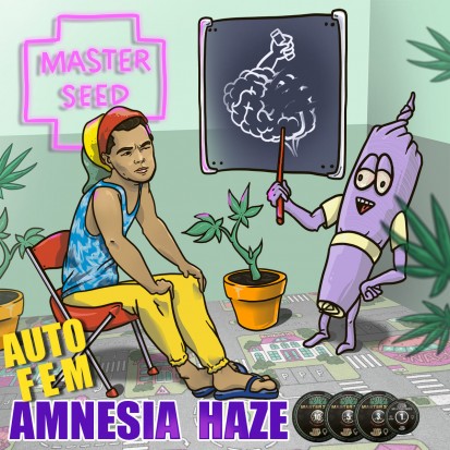 Насіння коноплі Master-Seed Auto Amnesia Haze Feminised