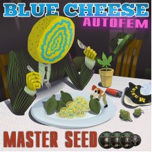 Master-Seed Auto Blue Cheese Feminised