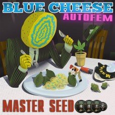 Master-Seed auto Blue Cheese feminised