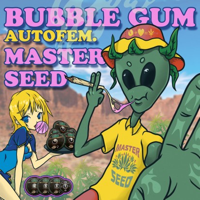 Насіння коноплі Master-Seed Auto Bubble Gum Feminised
