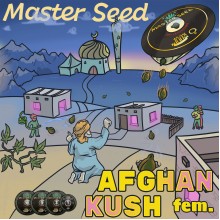Master-Seed Afghan Kush Feminised