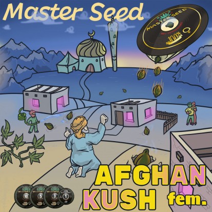 Семена конопли Master-Seed Afghan Kush Feminised