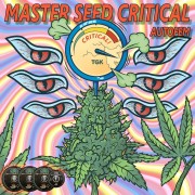 Master-Seed Auto Critical Feminised