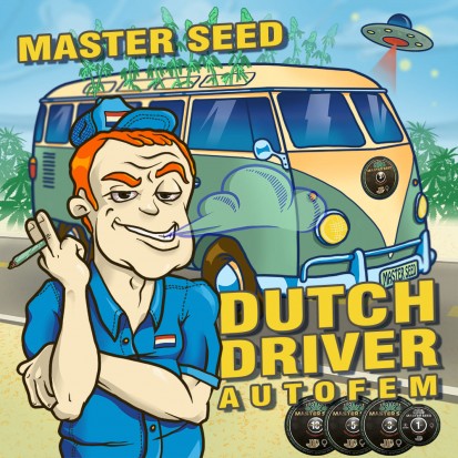 Семена конопли Master-Seed Auto Dutch Driver Feminised