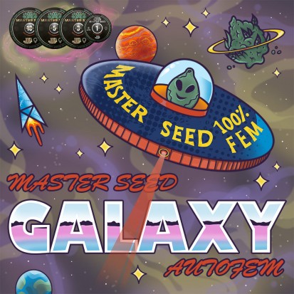 Насіння коноплі Master-Seed Auto Galaxy Feminised