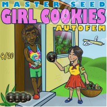Master-Seed Auto Girl Cookies Feminised