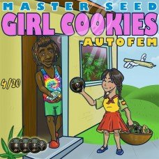 Master-Seed auto Girl Cookies feminised