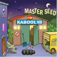 Master-Seed Auto Kabool Feminised