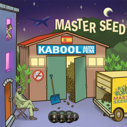 Насіння коноплі Master-Seed Auto Kabool Feminised
