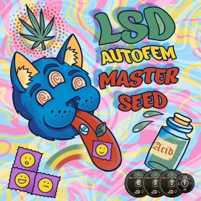 Насіння коноплі Master-Seed Auto LSD Feminised