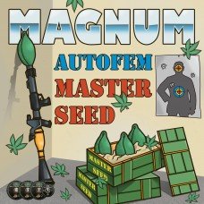 Master-Seed auto Magnum feminised