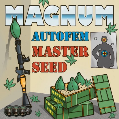 Насіння коноплі Master-Seed Auto Magnum Feminised