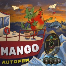 Master-Seed Auto Mango Feminised
