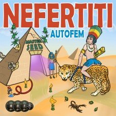 Master-Seed auto Nefertiti feminised