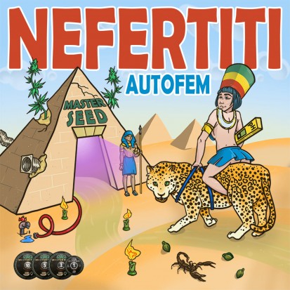 Насіння коноплі Master-Seed Auto Nefertiti Feminised